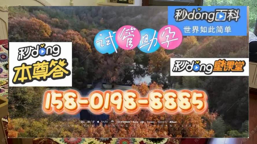 代生代怀公司-代生代怀公司:传承与创新