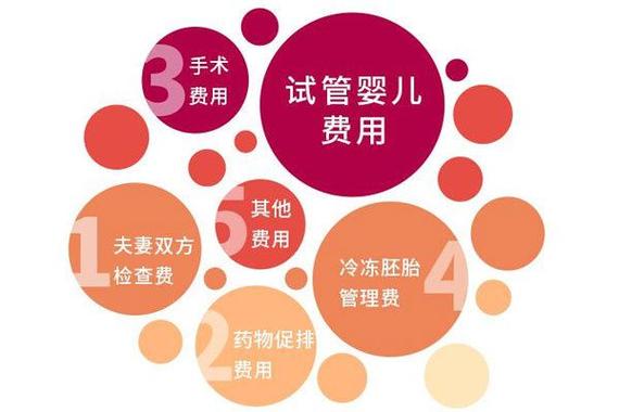 包成功试管代怀(成功试管代怀:包生育服务全攻略)