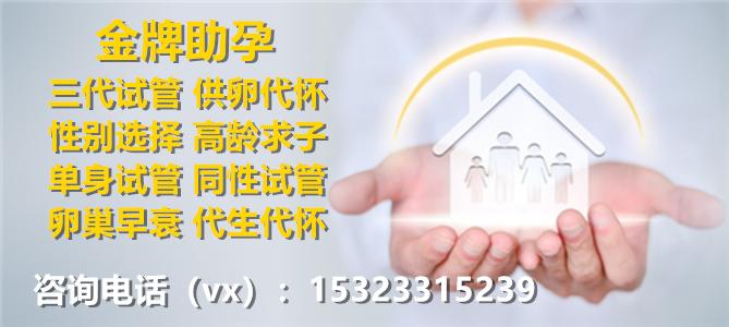 国内供卵机构【国内供卵机构:助力家庭梦想的新选择】